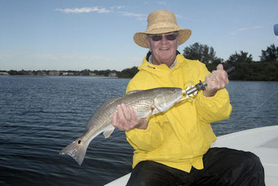 Harry Beaty's Little Sarasota Bay CAL jig red caught with Capt. Rick Grassett.