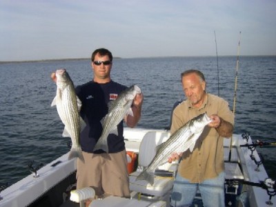 10lb stripers caught on Lake Texoma with guide Brian Prichard