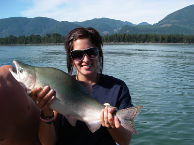 Everyone can catch Pink salmon