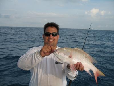Morning Mutton Snapper