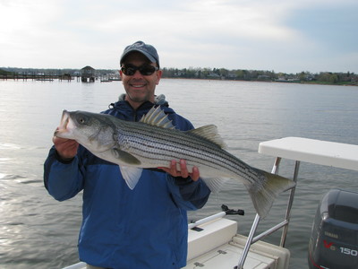 New Jersey striper guide-reel therapy