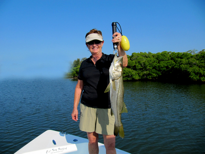 24 inch snook