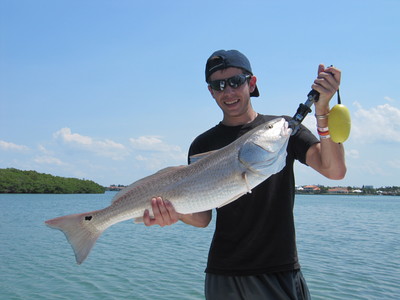 31 inch redfish