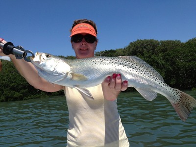 nice trout in tampa bay