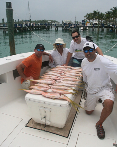 Flag Yellowtail Snappers