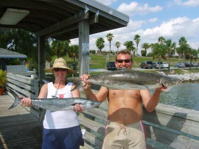 King Mackerel & Cobia - fast light tackle action