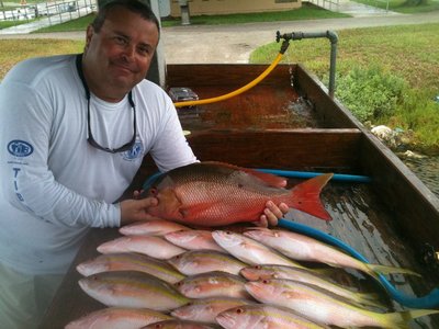 Captain J Lopez with nice catch of Yellowtail Snapper, and Mutton.