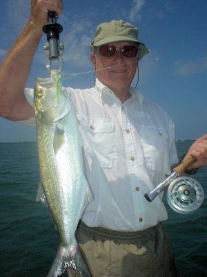Jack Sinton, from Bend, OR, caught and released this 5-pound bluefish on an Ultra Hair Clouser fly while fishing Sarasota Bay with Capt. Rick Grassett.