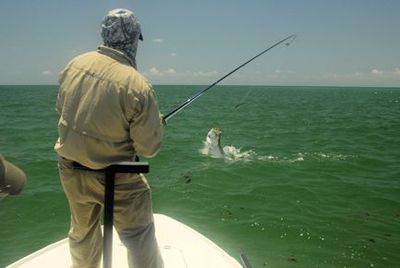 Jay Peck, from Rochester, NY, jumps a tarpon on fly tackle in the coastal gulf in Sarasota while fishing with Capt. Rick Grassett.