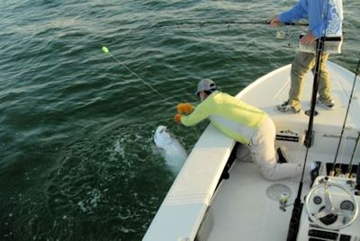 Capt. Rick Grassett lands a tarpon caught and released by Jum Dempsey, from IL, while fishing the coastal gulf in Sarasota.