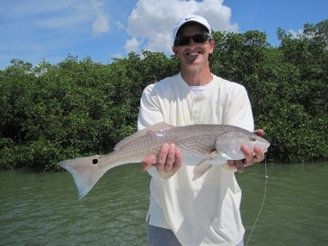 24.5 inch redfish
