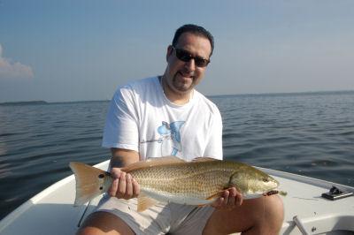 Joe Larosa, from North Port, FL, caught and released this 26