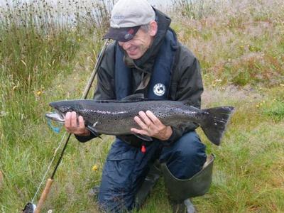 Waterville Sea Trout