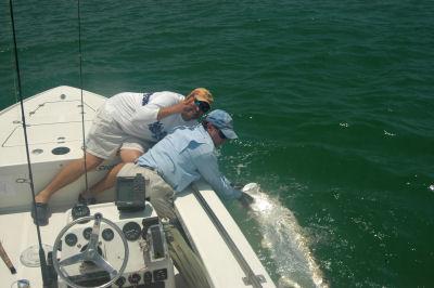 Cliff Ondercin, from Sarasota, FL, caught and released this tarpon on a live pinfish while fishing off Siesta Key with Capt. Rick Grassett.