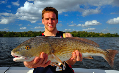 29 inch Redfish