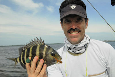 Mark Torkos Sarasota Bay fly sheepshead caught with Capt. Rick Grassett