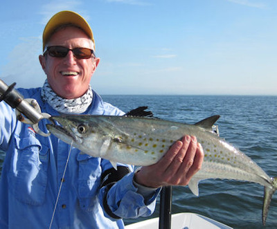 Marshall Dinerman Sarasota Bay CAL shad Spanish mackerel caught and released with Capt. Rick Grassett.
