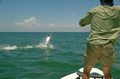 A special client of mine with his dream tarpon.