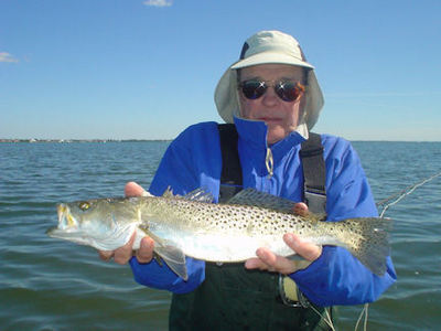 Nick Reding's Sarasota Bay Grassett Flats Minnow fly trout caught while fishing with Capt. Rick Grassett.