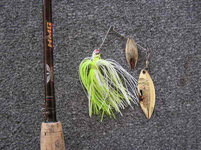My favorite spinnerbait, a Stanley 3/8 ounce WedgePlus  with white and chartreuse skirt.