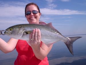 Nice bluefish caught aboard Angling Adventures Charter Fishing Guide Service W/Capt. Steven