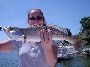 Nice Spotted Sea Trout caught aboard Angling Adventures Charter Fishing Guide Service W/Capt. Steven
