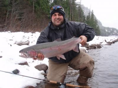 The photo of the week shows a beautiful wild Steelhead landed and released by Rob Vodola on the Zymoetz (Copper) River.