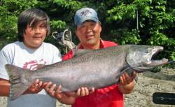 Chinook (King) Salmon landed on a Kitimat River drift