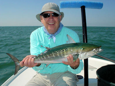 Ron Foust's Tampa Bay fly albie caught with Capt. Rick Grassett.