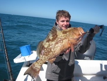 25-inch red grouper on squid