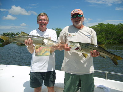 A pair of snook