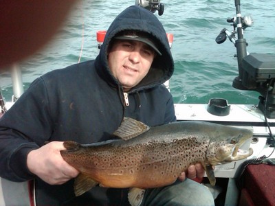 9lb Brown trout