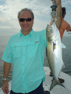 Sal Devita's Sarasota Bay 4-lb CAL jig bluefish caught while fishing with Capt. Rick Grassett.