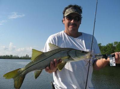 6 Lb Snook From The flats