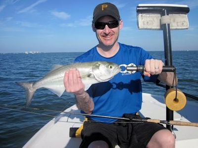 Steve McClintock Sarasota Bay CAL shad bluefish caught and released with Capt. Rick Grass