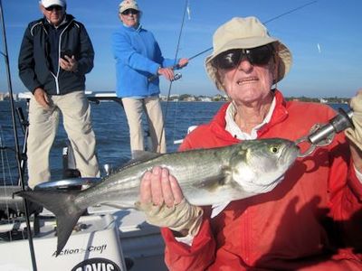 Tom Lamb, from Geneva, Switzerland, with a 4-lb bluefish caught and released on a CAL jig with a shad tail while fishing Sarasota Bay with Capt. Rick Grassett.