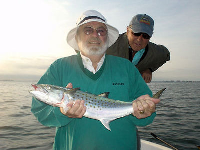Tom Mulder's Sarasota Bay DOA Deadly Combo Spanish mackerel