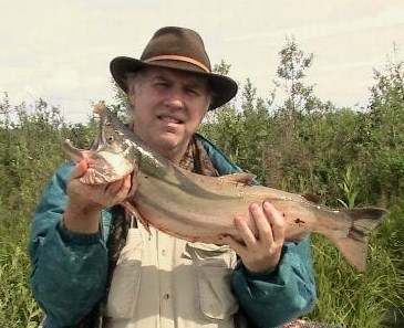 Silver Salmon on the Kenai