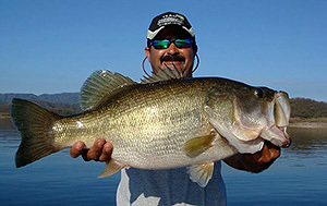 Lake Baccarac Trophy Bass