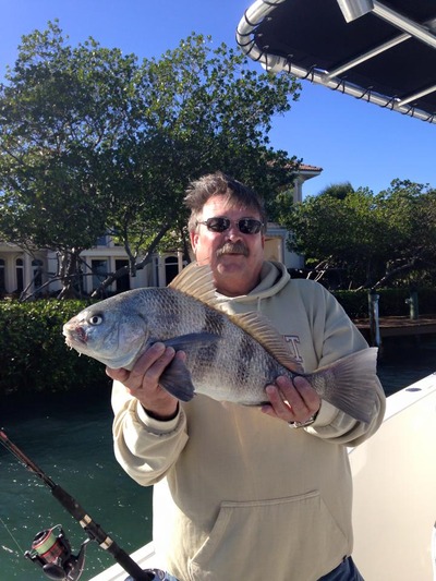 Too rough offshore for fishing so we have been catching blackdrum in numbers all week.
