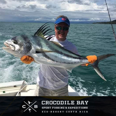 Roosterfish Continue to please anglers inshore