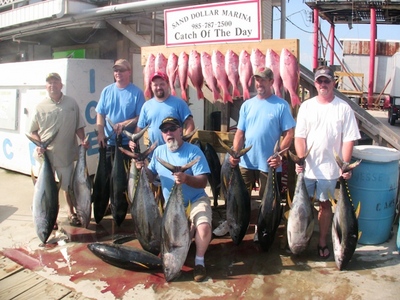 YellowFin Tuna - Grand Isle Louisiana