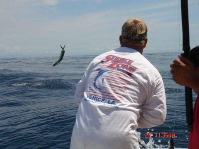 Capt. Kevin on a jumping Dolphin