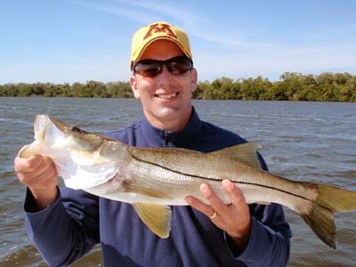 First snook of the year caught and released in Matlacha Pass