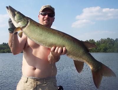 Yet another quality musky from our area!
