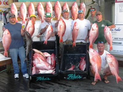 Red Snapper Catch on the C.A.T. Boat