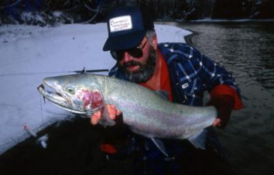 The photo of the week shows me with a beautiful winter Kalum River wild Steelhead.  The photo was taken quite a few years ago (when my beard wasnt so grey).  Ohhow time flies.  The photo was taken by my good friend Mark Anthony Krupa.  He is the man wit
