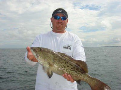 Nice Grouper in the Bay
