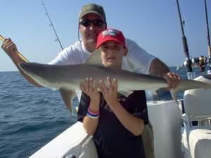 40 inch shark, released offshore from Bonita Beach