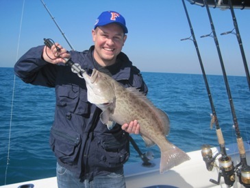 27-inch, 11-lb gag grouper, released